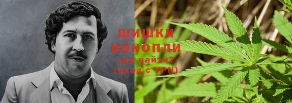 дистиллят марихуана Горняк