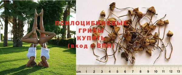 дистиллят марихуана Горняк