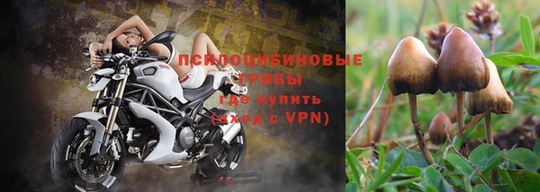 мяу мяу кристалл Горно-Алтайск